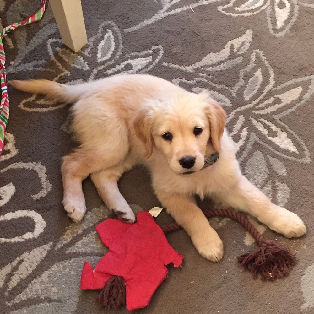 Meet your Posher, Erin